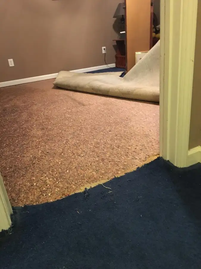 Carpet pad removal revealing water damage during Water Mitigation Services in Forsyth