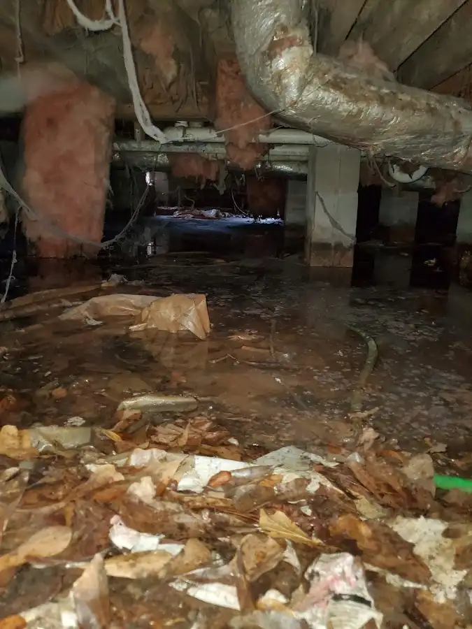 Crawl space flood assessment for Commercial Water Damage Restoration in Forsyth