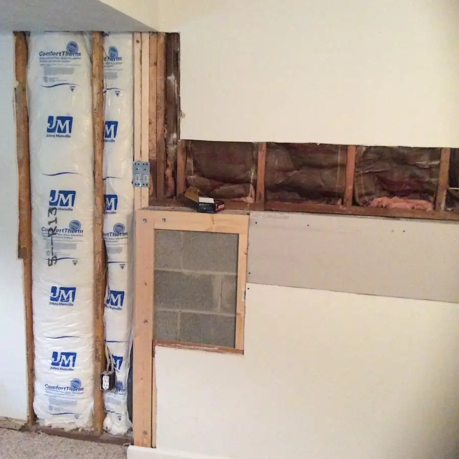 Wall insulation replacement during Odor Removal & Deodorization in Forsyth